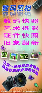 數(shù)碼攝影與數(shù)字廣告設(shè)計(jì) 打造吸睛視覺(jué)盛宴